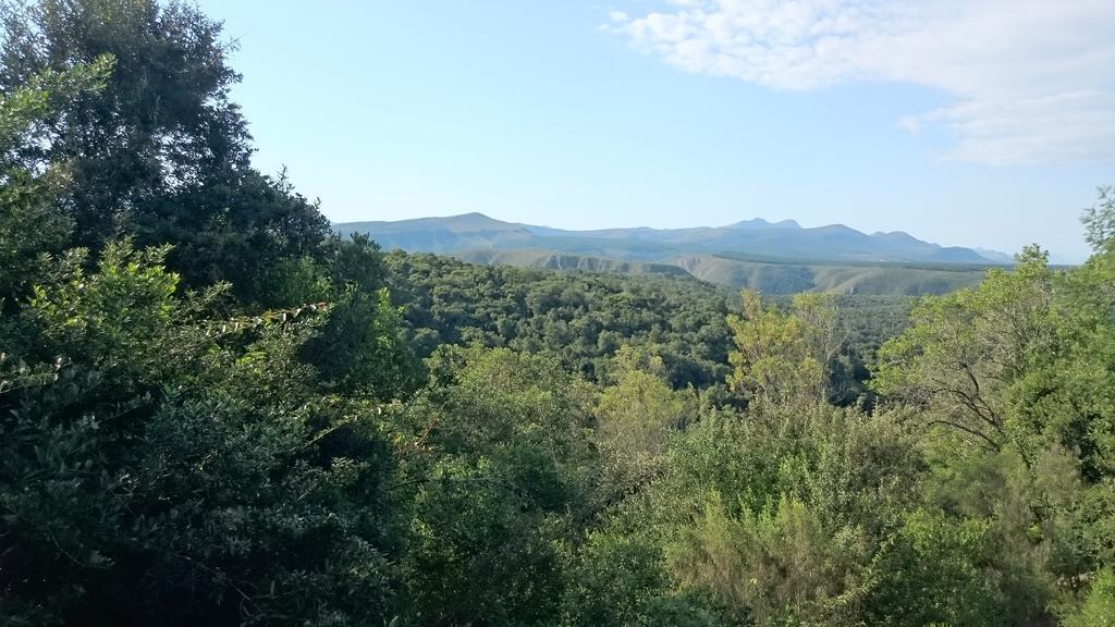 Plettenberg Bay Game Reserve: The Baroness Safari Lodge Екстер'єр фото